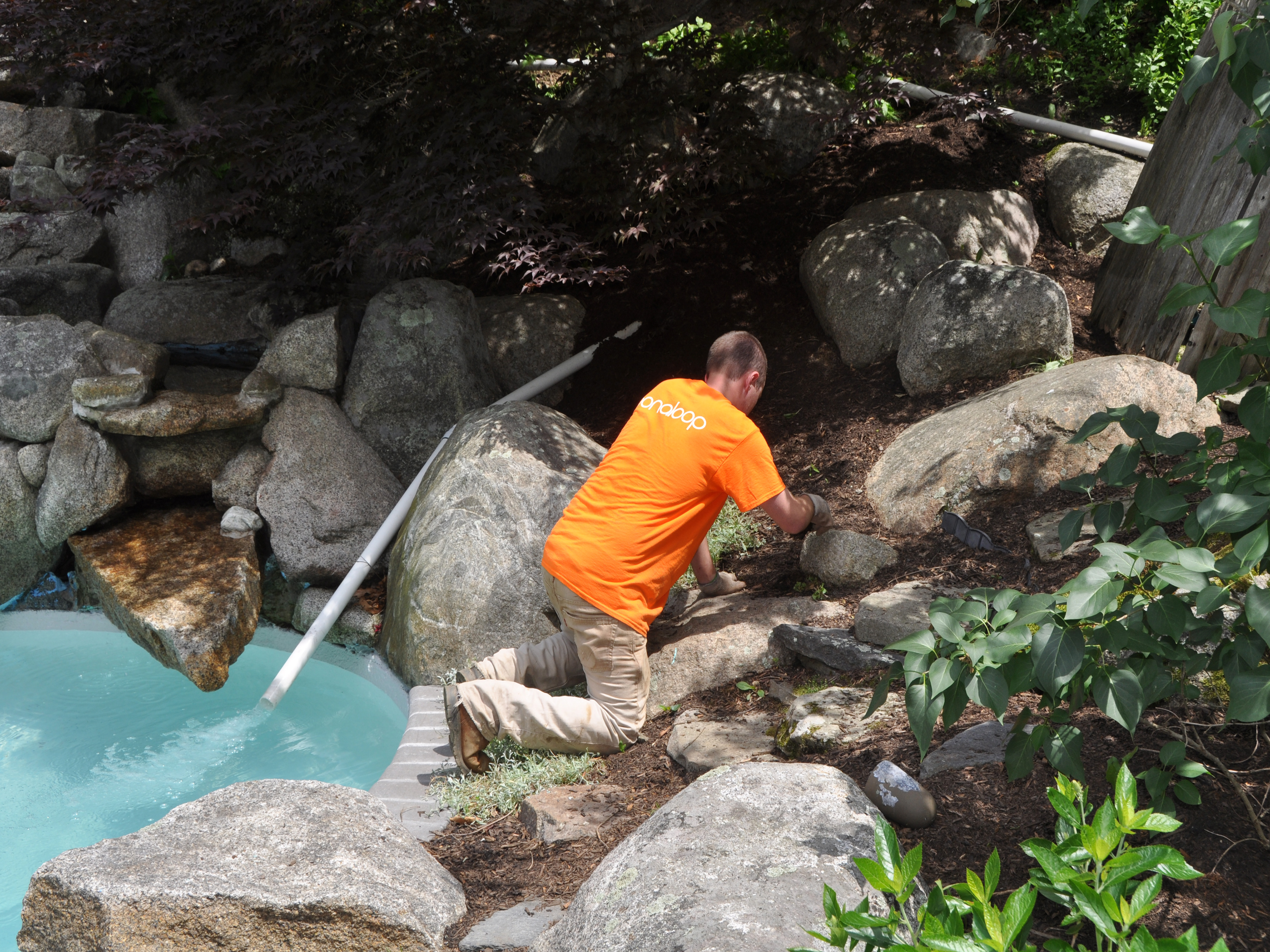 Weeding by the Pool